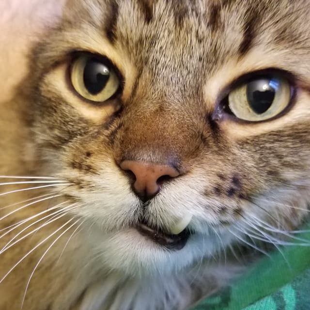 Photo of Grady